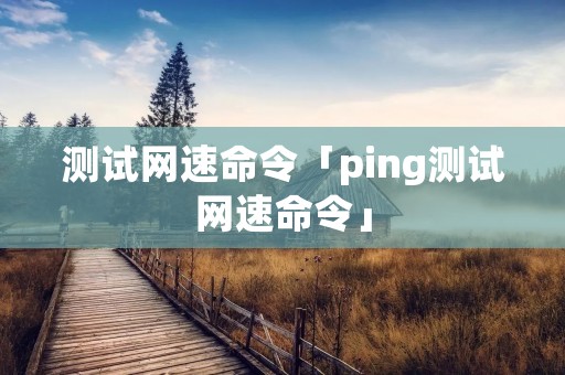 测试网速命令「ping测试网速命令」