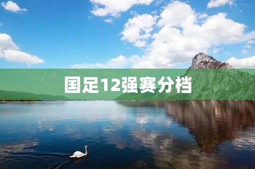 国足12强赛分档:实力与机遇共舞,备战新征程 国足12强赛分档:实力与机遇共舞,备战新征程