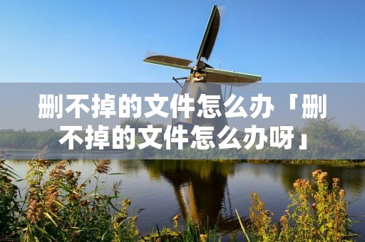 删不掉的文件怎么办「删不掉的文件怎么办呀」 删不掉的文件怎么办「删不掉的文件怎么办呀」