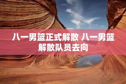 八一男篮正式解散 八一男篮解散队员去向 八一男篮正式解散 八一男篮解散队员去向