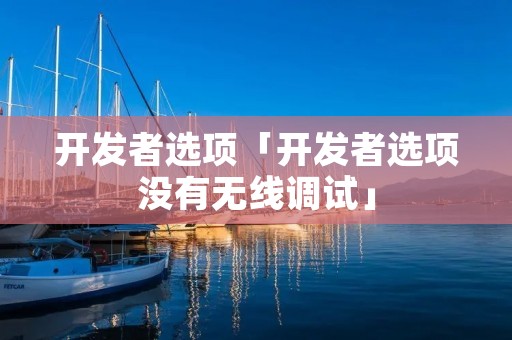 开发者选项「开发者选项没有无线调试」