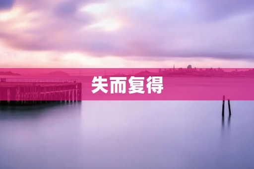失而复得：一个关于坚持与奋斗的故事