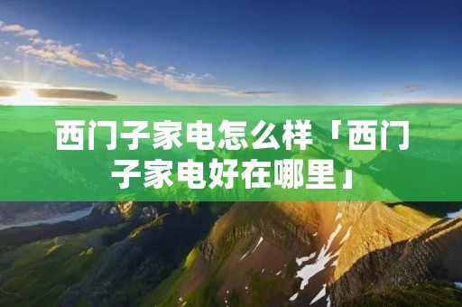 西门子家电怎么样「西门子家电好在哪里」