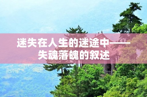 迷失在人生的迷途中——失魂落魄的叙述 迷失在人生的迷途中——失魂落魄的叙述