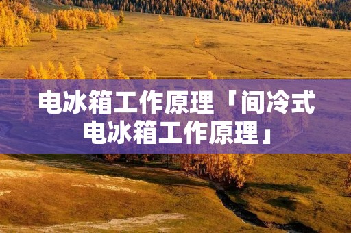 电冰箱工作原理「间冷式电冰箱工作原理」