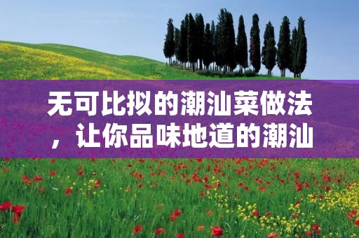 无可比拟的潮汕菜做法，让你品味地道的潮汕美食