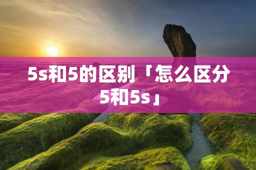 5s和5的区别「怎么区分5和5s」