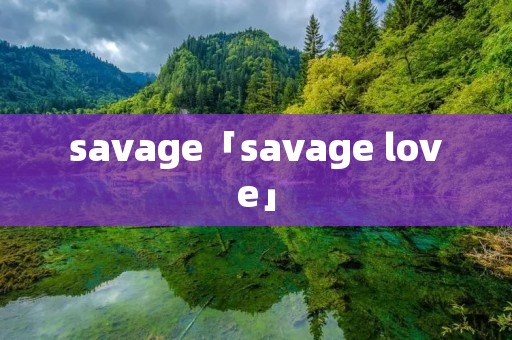 savage「savage love」
