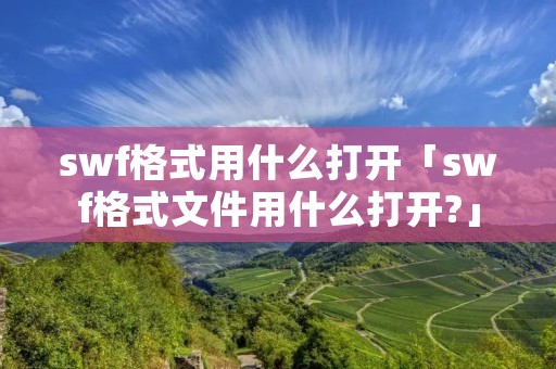 swf格式用什么打开「swf格式文件用什么打开?」
