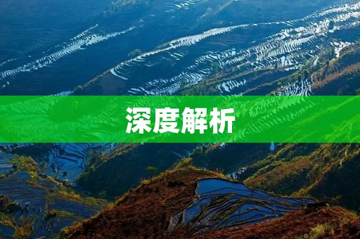 深度解析:破绽的意思及其在生活中的重要性