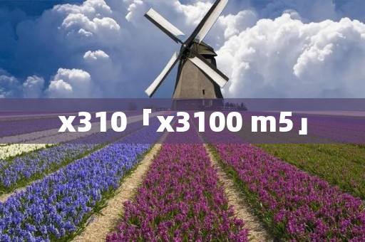 x310「x3100 m5」 x310「x3100 m5」