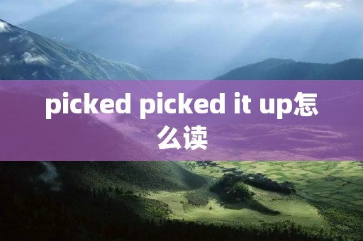 picked picked it up怎么读