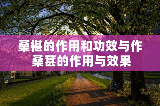 桑椹的作用和功效与作 桑葚的作用与效果