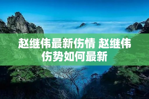 赵继伟最新伤情 赵继伟伤势如何最新