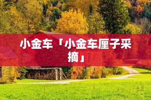 小金车「小金车厘子采摘」