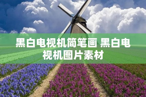 黑白电视机简笔画 黑白电视机图片素材 黑白电视机简笔画 黑白电视机图片素材