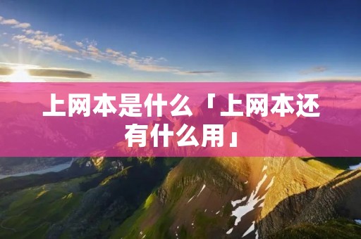 上网本是什么「上网本还有什么用」