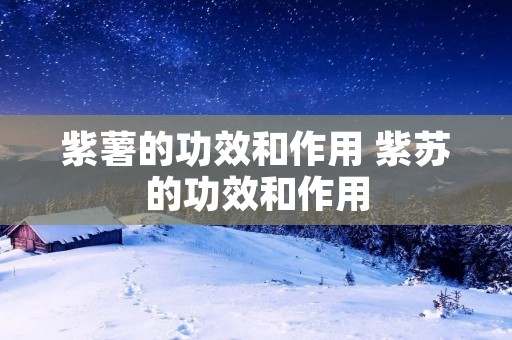 紫薯的功效和作用 紫苏的功效和作用