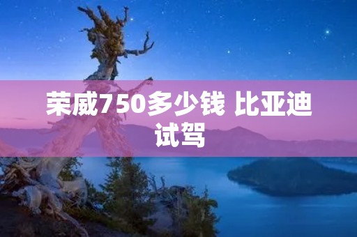荣威750多少钱 比亚迪试驾
