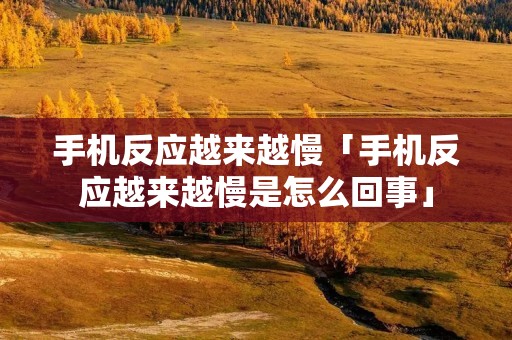 手机反应越来越慢「手机反应越来越慢是怎么回事」