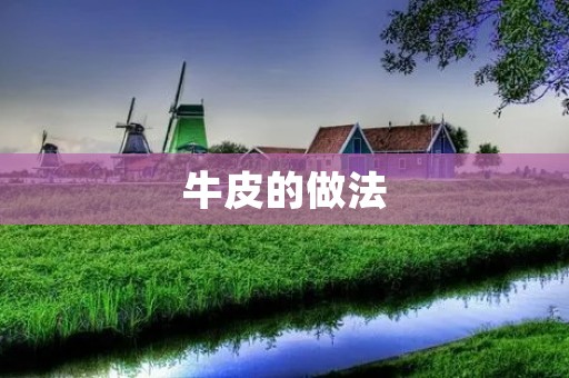 牛皮的做法:让你一秒钟变身厨艺** 牛皮的做法:让你一秒钟变身厨艺**