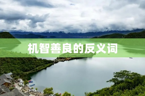 机智善良的反义词