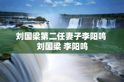 刘国梁第二任妻子李阳鸣 刘国梁 李阳鸣