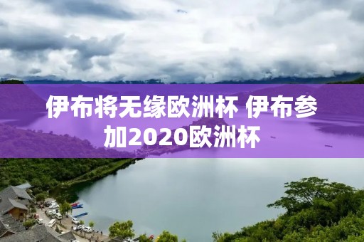 伊布将无缘欧洲杯 伊布参加2020欧洲杯