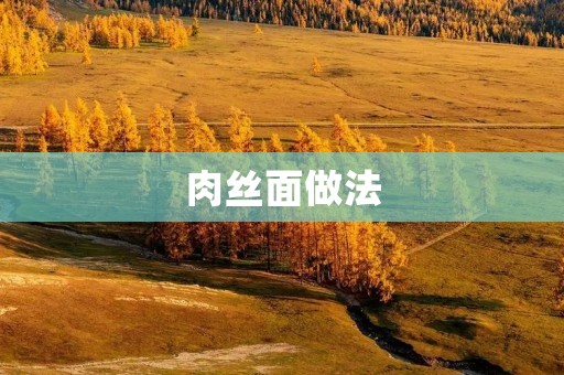 肉丝面做法：美味鲜香，简单易学