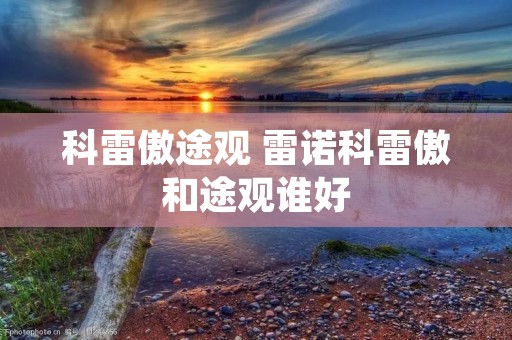 科雷傲途观 雷诺科雷傲和途观谁好
