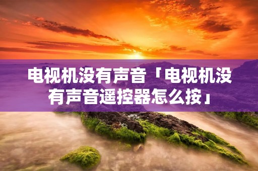 电视机没有声音「电视机没有声音遥控器怎么按」