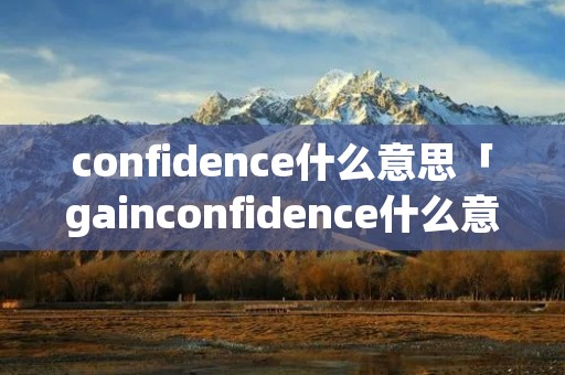 confidence什么意思「gainconfidence什么意思」