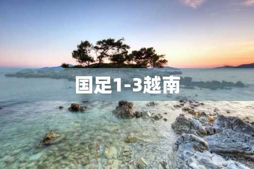 国足1-3越南：惨败引发球迷对国家队的质疑