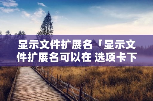 显示文件扩展名「显示文件扩展名可以在 选项卡下」