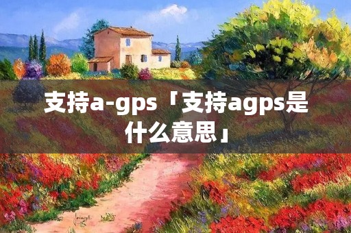 支持a-gps「支持agps是什么意思」
