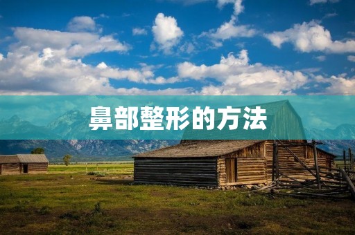 鼻部整形的方法：全方位解析鼻部美容的多种技术与手术选择