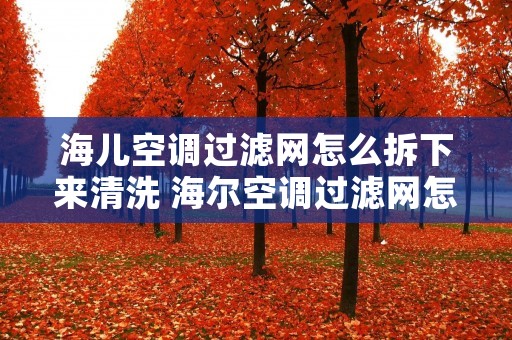 海儿空调过滤网怎么拆下来清洗 海尔空调过滤网怎么拆图解视频 海儿空调过滤网怎么拆下来清洗 海尔空调过滤网怎么拆图解视频