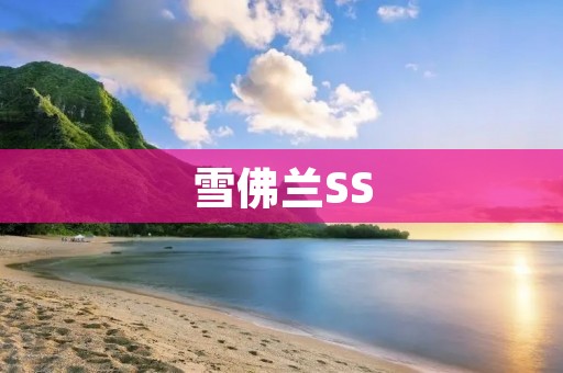 雪佛兰SS:传承经典,驰骋狂野 雪佛兰SS:传承经典,驰骋狂野