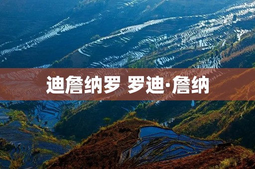 迪詹纳罗 罗迪·詹纳