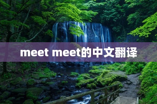 meet meet的中文翻译