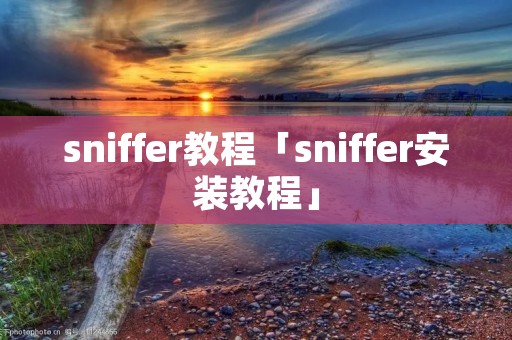 sniffer教程「sniffer安装教程」