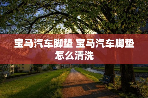 宝马汽车脚垫 宝马汽车脚垫怎么清洗