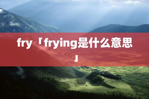 fry「frying是什么意思」 fry「frying是什么意思」