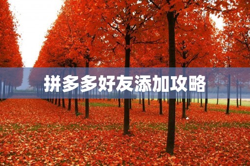 拼多多好友添加攻略：轻松添加拼多多好友的方法