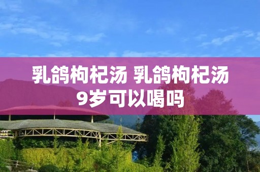 乳鸽枸杞汤 乳鸽枸杞汤9岁可以喝吗