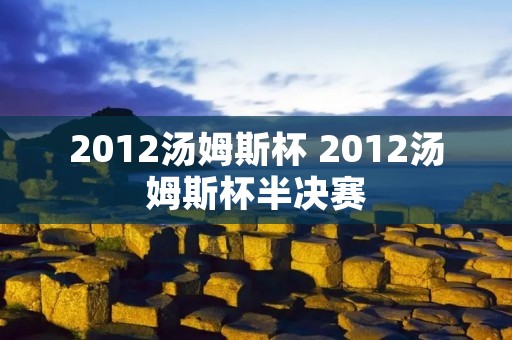 2012汤姆斯杯 2012汤姆斯杯半决赛