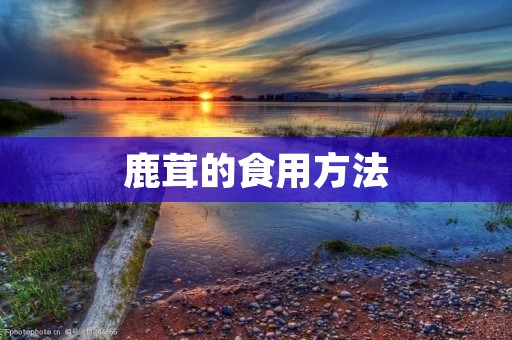 鹿茸的食用方法：丰富多样的佳肴