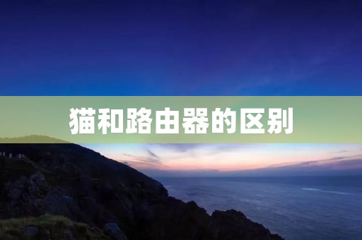 猫和路由器的区别：探寻网络连接的两个重要环节