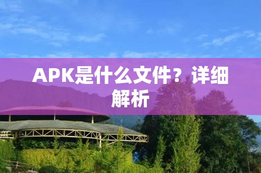 APK是什么文件?详细解析 APK是什么文件?详细解析