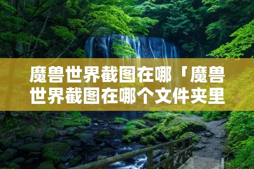魔兽世界截图在哪「魔兽世界截图在哪个文件夹里」